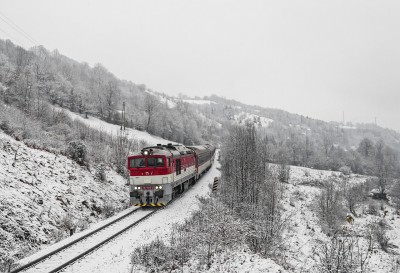 Zobrazi� cel� fotku
