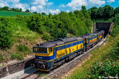 Zobrazi� cel� fotku