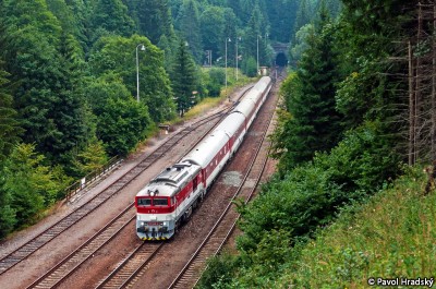 Zobrazi� cel� fotku