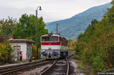 Zobrazi� cel� fotku