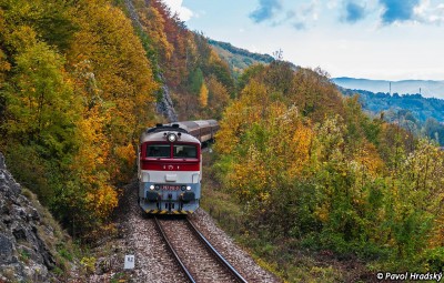 Zobrazi� cel� fotku