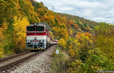 Zobrazi� cel� fotku