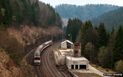 Zobrazi� cel� fotku