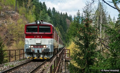 Zobrazi� cel� fotku