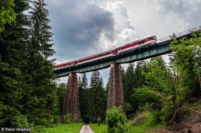 Zobrazi� cel� fotku