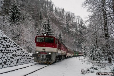 Zobrazi� cel� fotku