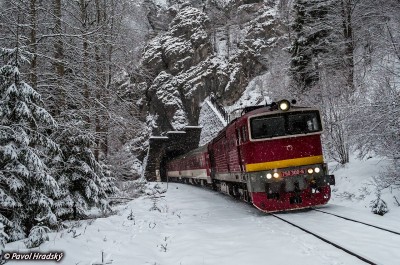 Zobrazi� cel� fotku