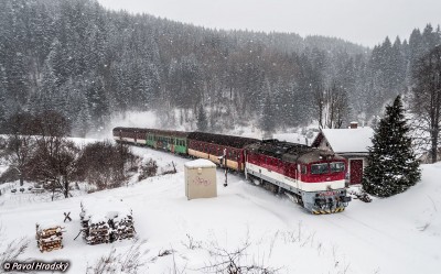 Zobrazi� cel� fotku