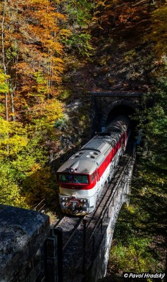 Zobrazi� cel� fotku