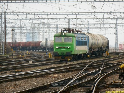 Zobrazi� cel� fotku