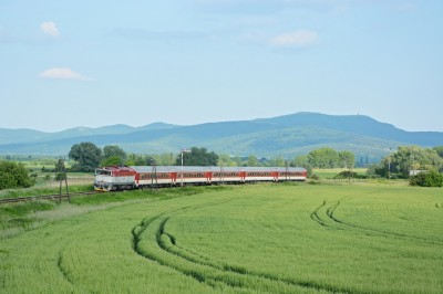Zobrazi� cel� fotku