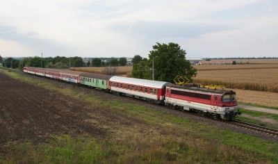 Zobrazi� cel� fotku