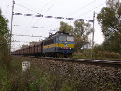 Zobrazi� cel� fotku