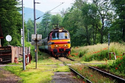 Zobrazi� cel� fotku