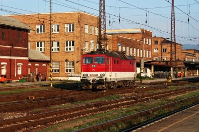 Zobrazi� cel� fotku