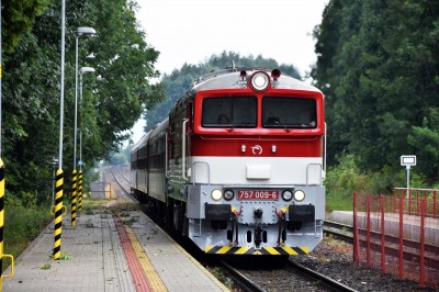 Zobrazi� cel� fotku