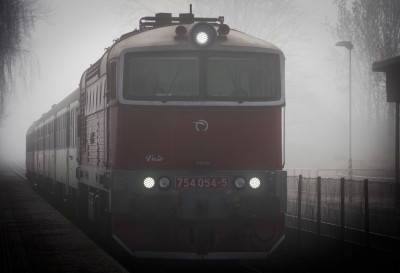 Zobrazi� cel� fotku