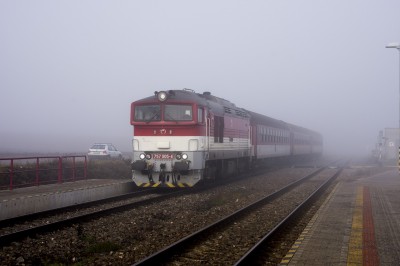 Zobrazi� cel� fotku