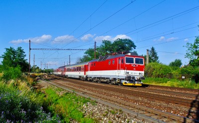 Zobrazi� cel� fotku