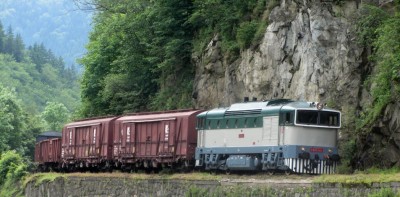 Zobrazi� cel� fotku