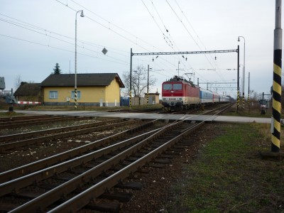Zobrazi� cel� fotku