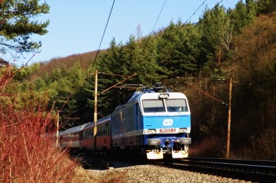 Zobrazi� cel� fotku