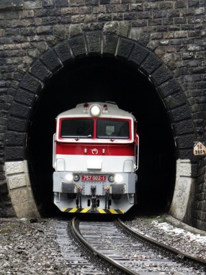 Zobrazi� cel� fotku