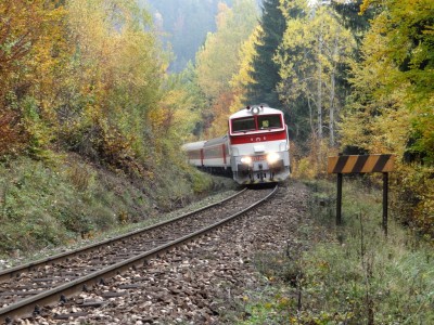 Zobrazi� cel� fotku