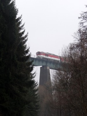 Zobrazi� cel� fotku