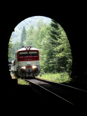 Zobrazi� cel� fotku