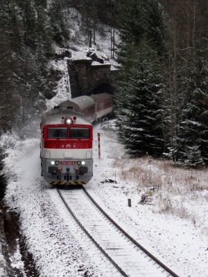 Zobrazi� cel� fotku
