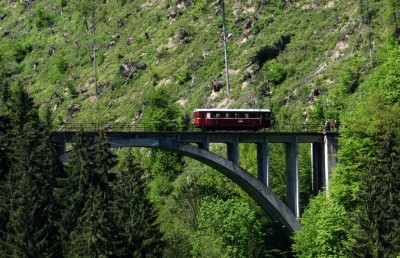 Zobrazi� cel� fotku