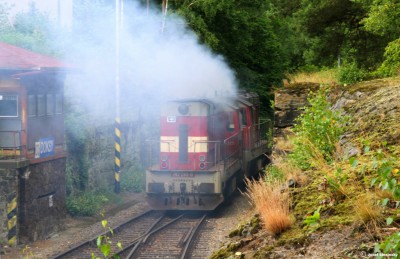 Zobrazi� cel� fotku