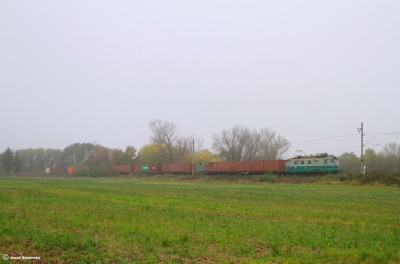 Zobrazi� cel� fotku