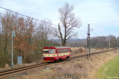 Zobrazi� cel� fotku