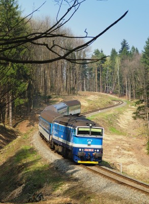 Zobrazi� cel� fotku