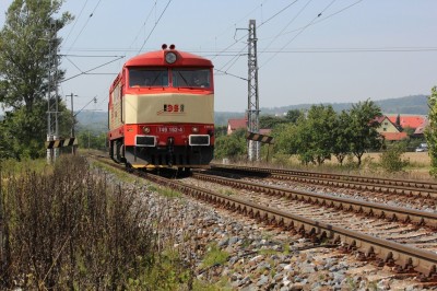 Zobrazi� cel� fotku