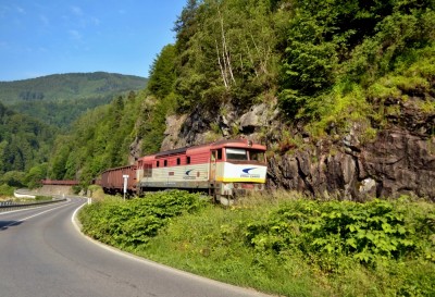 Zobrazi� cel� fotku