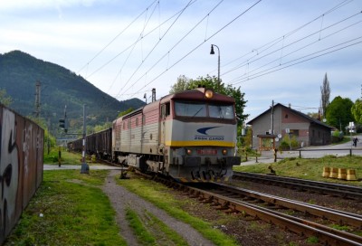 Zobrazi� cel� fotku