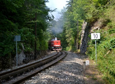 Zobrazi� cel� fotku