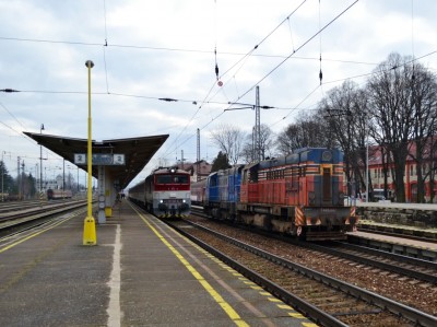 Zobrazi� cel� fotku