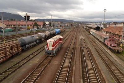 Zobrazi� cel� fotku