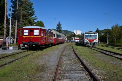 Zobrazi� cel� fotku