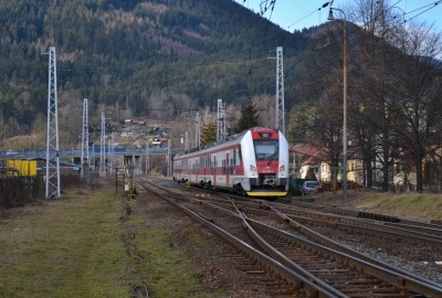 Zobrazi� cel� fotku