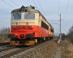 1424620329.jpg