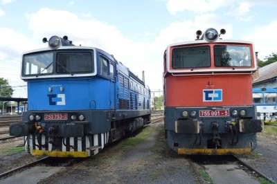 Zobrazi� cel� fotku