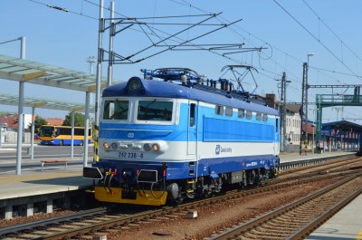 Zobrazi� cel� fotku