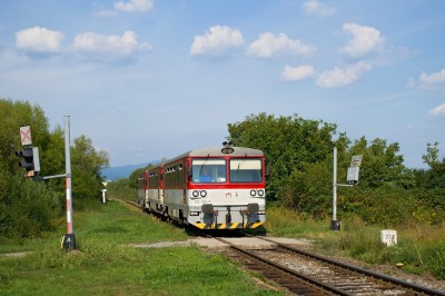 Zobrazi� cel� fotku