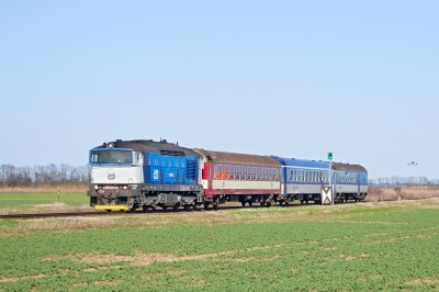 Zobrazi� cel� fotku