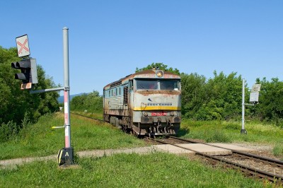 Zobrazi� cel� fotku